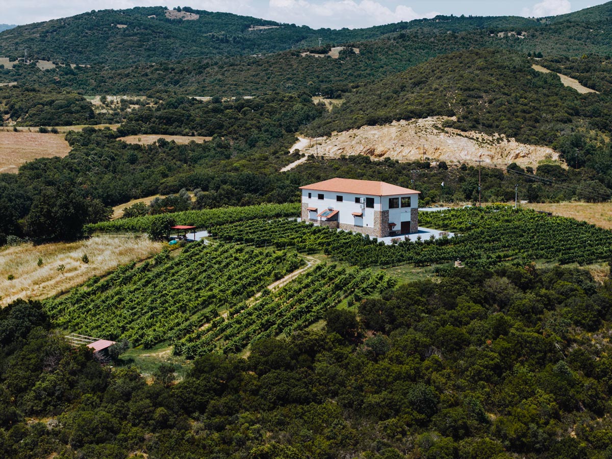 Φωτογραφία του Κτήματος Ταραζάς που συνεχίζει από την προεπισκόπηση των εμπειριών.